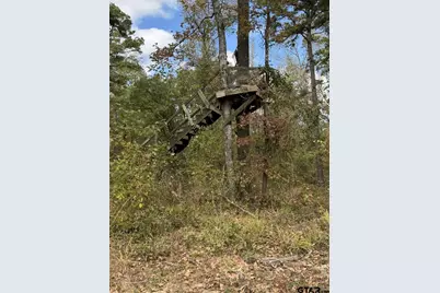 Tbd Stag Rd, Gilmer, TX 75644 - Photo 12