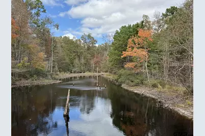 Tbd Stag Rd, Gilmer, TX 75644 - Photo 8