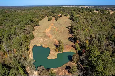 15198 E Fm 16, Winona, TX 75792 - Photo 34