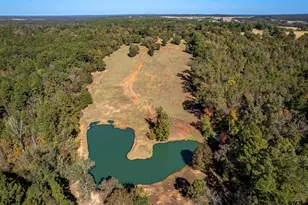 15198 E Fm 16, Winona, TX 75792 - Photo 34