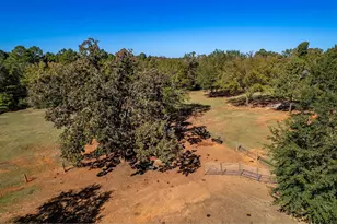 15198 E Fm 16, Winona, TX 75792 - Photo 36