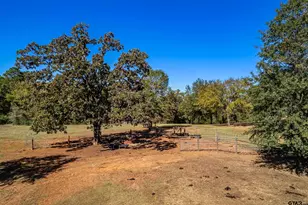 15198 E Fm 16, Winona, TX 75792 - Photo 40