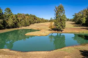 15198 E Fm 16, Winona, TX 75792 - Photo 34