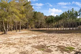 13670 Farm to Market 314 N, Brownsboro, TX 75756 - Photo 38