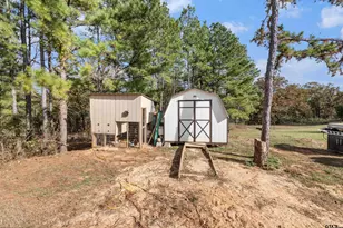 10165 County Rd 1111, Tyler, TX 75704 - Photo 34