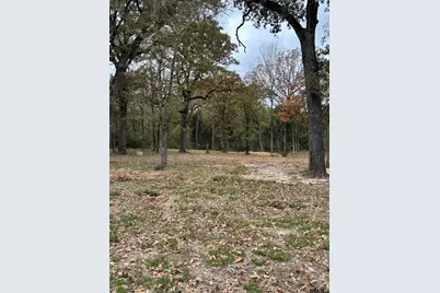 15308 W Fm 321, Tennessee Colony, TX 75861 - Photo 12