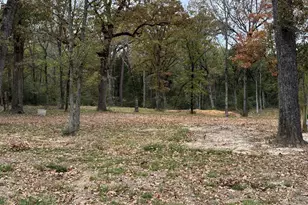 15308 W Fm 321, Tennessee Colony, TX 75861 - Photo 12