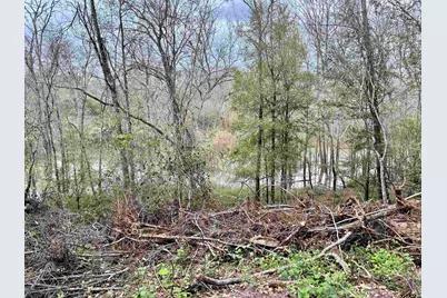 15308 W Fm 321, Tennessee Colony, TX 75861 - Photo 20