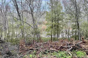 15308 W Fm 321, Tennessee Colony, TX 75861 - Photo 20