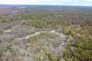 15308 W Fm 321, Tennessee Colony, TX 75861 - Photo 22