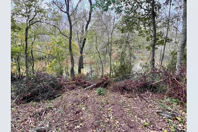 15308 W Fm 321, Tennessee Colony, TX 75861 - Photo 16