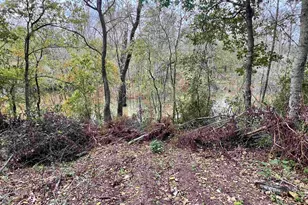 15308 W Fm 321, Tennessee Colony, TX 75861 - Photo 16