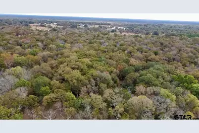 15308 W Fm 321, Tennessee Colony, TX 75861 - Photo 4