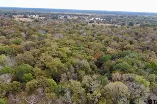 15308 W Fm 321, Tennessee Colony, TX 75861 - Photo 4