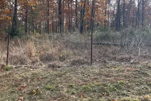 390 Co Rd 2978, Hughes Springs, TX 75656 - Photo 28