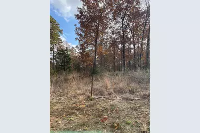 390 Cr 2978, Hughes Springs, TX 75656 - Photo 30