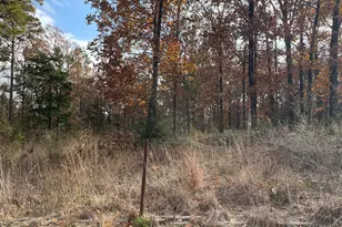 390 Co Rd 2978, Hughes Springs, TX 75656 - Photo 30