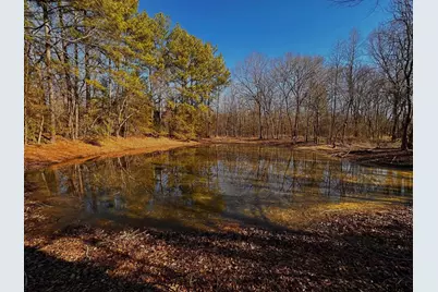 590 An County Road 169, Elkhart, TX 75839 - Photo 4