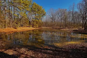 590 An County Rd 169, Elkhart, TX 75839 - Photo 4