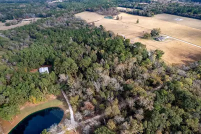 590 An County Road 169, Elkhart, TX 75839 - Photo 22