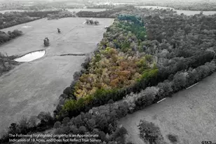 590 An County Rd 169, Elkhart, TX 75839 - Photo 2