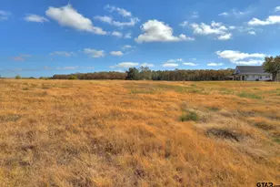 9426 Co Rd 1200, Athens, TX 75751 - Photo 40