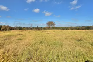 9426 Co Rd 1200, Athens, TX 75751 - Photo 38