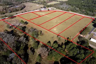 Tbd 0- Lt 8 Fm 1892, Frankston, TX 75763 - Photo 4