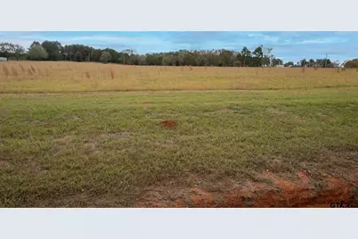 Lt 6 Tbd Fm 1892, Frankston, TX 75763 - Photo 2