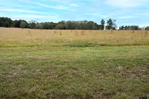 Lt 2 -Tbd Fm 1892, Frankston, TX 75763 - Photo 8