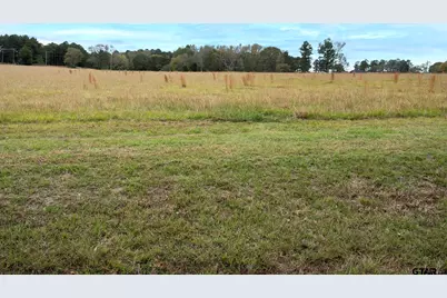 Lt 1  Tbd Fm 1892, Frankston, TX 75763 - Photo 6