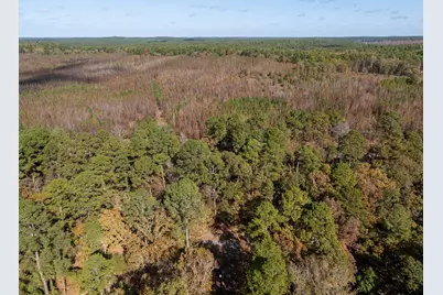 Tbd Rolling Ridge, Holly Lake Ranch, TX 75765 - Photo 6