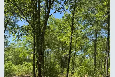 24337 Fm 838, Overton, TX 75684 - Photo 6