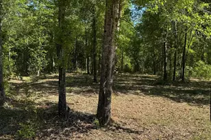 24337 FM 838, Overton, TX 75684 - Photo 1