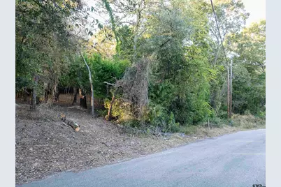 000 Callender Lake Drive, Murchison, TX 75778 - Photo 4