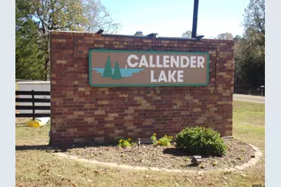 000 Callender Lake Drive, Murchison, TX 75778 - Photo 10