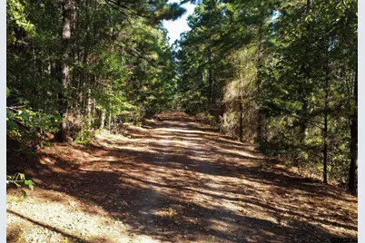 0 Fm 3079, Brownsboro, TX 75756 - Photo 10