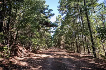 0 Fm 3079, Brownsboro, TX 75756 - Photo 12