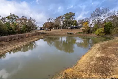 2906 Vz Cr 4923, Ben Wheeler, TX 75754 - Photo 40