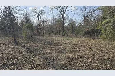 22288 County Road 422, Lindale, TX 75771 - Photo 16