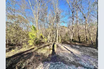 0 Cr 4302, LaRue, TX 75770 - Photo 6