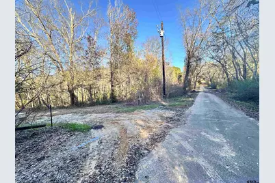0 Cr 4302, LaRue, TX 75770 - Photo 2