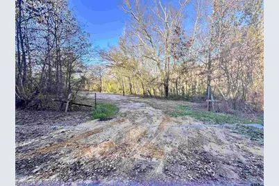 0 Cr 4302, LaRue, TX 75770 - Photo 1