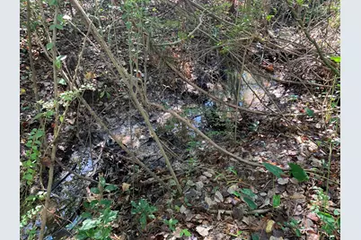 905 Cayuga Drive, Athens, TX 75751 - Photo 6