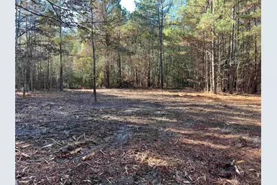 Tbd Fm 130, Hughes Springs, TX 75656 - Photo 10