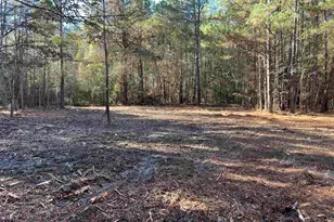 Tbd Fm 130, Hughes Springs, TX 75656 - Photo 10