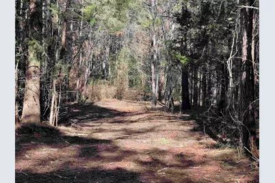 Tbd Cr 2921, Hughes Springs, TX 75656 - Photo 6