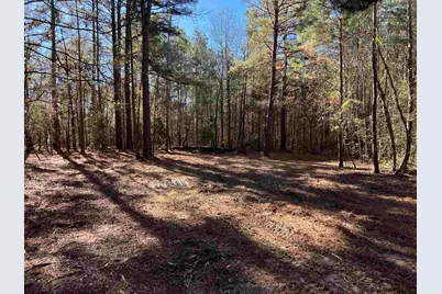 Tbd Cr 2921, Hughes Springs, TX 75656 - Photo 2