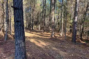 Tbd Cr 2921, Hughes Springs, TX 75656 - Photo 10