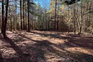 Tbd Cr 2921, Hughes Springs, TX 75656 - Photo 4